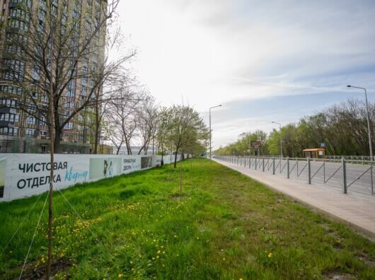    День Древонасаждения// фото: пресс-служба ЮгСтройИнвест