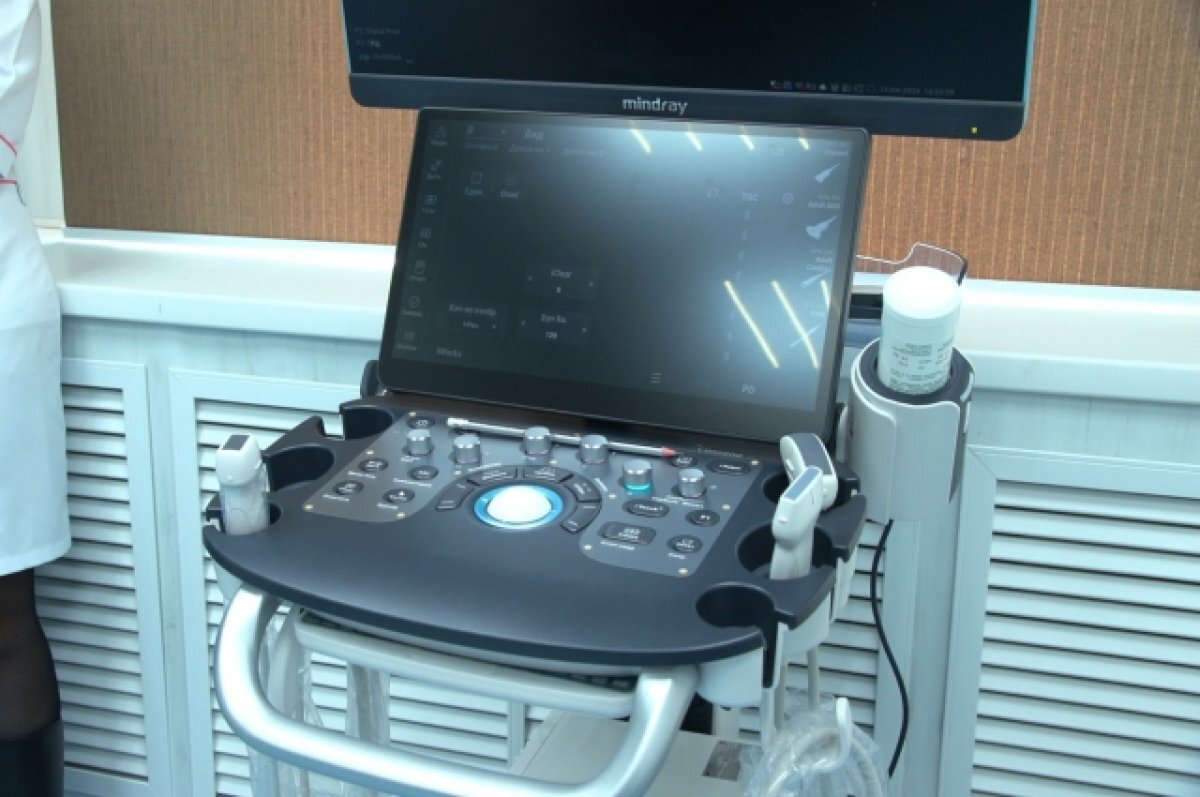    Врачи на Камчатке организуют бесплатные консультации для участников СВО