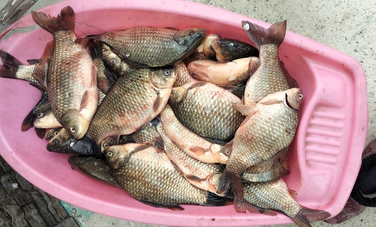 Озеро Баксары