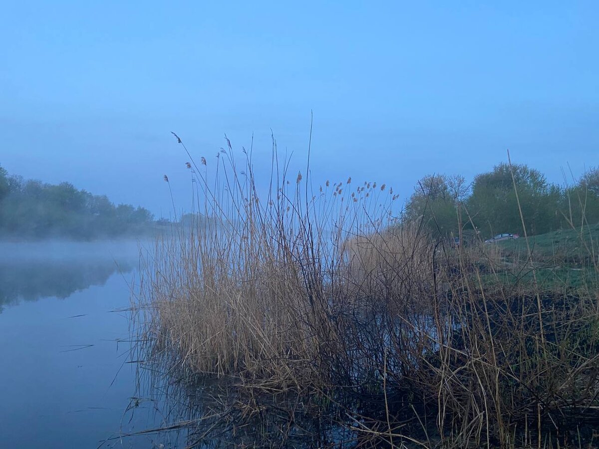 Рыбалка черкасское белгородская