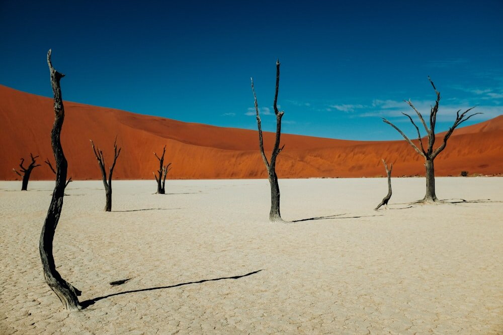 фото: https://unsplash.com/s/photos/deadvlei