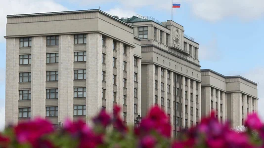 Фото: duma.gov.ru