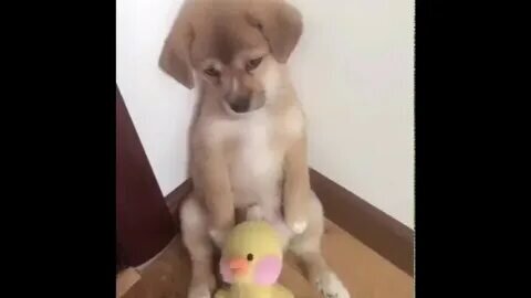 Фото из интернета.