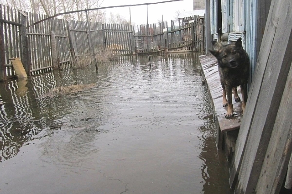    Жители Невьянска пожаловались на затопленные участки