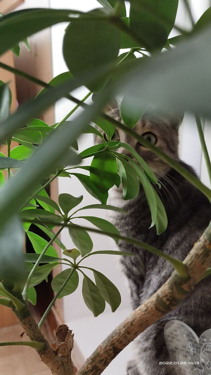 Фото от 26 января 2022 года. 