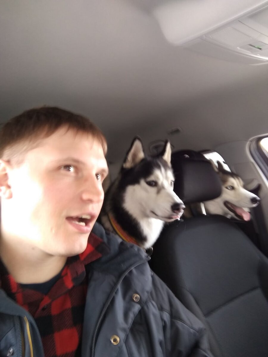 Фото, когда я был попутчиком в машине с двумя Хаски)