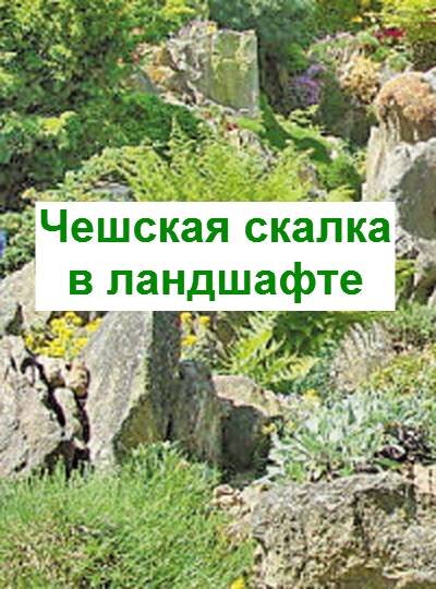 чешская скалка