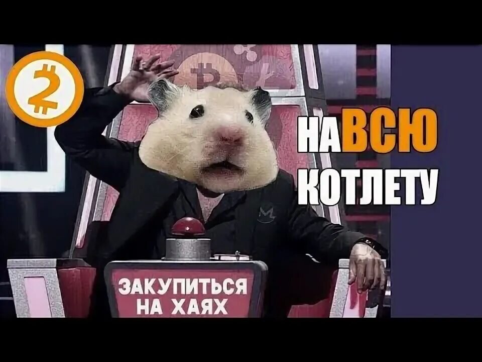 Хомяк в кресле