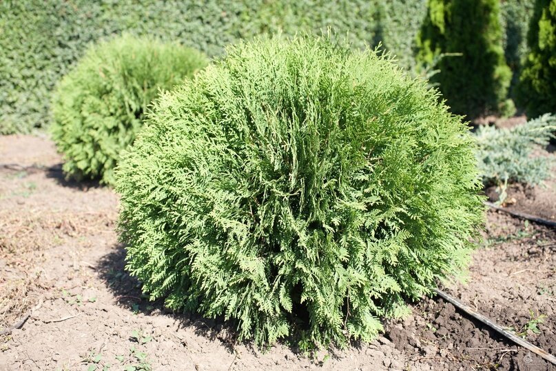 Создать карусельДобавьте описание