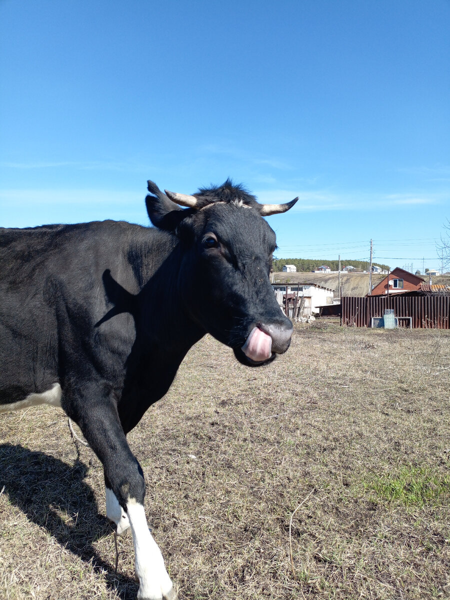 Фото автора канала. Фифочка.