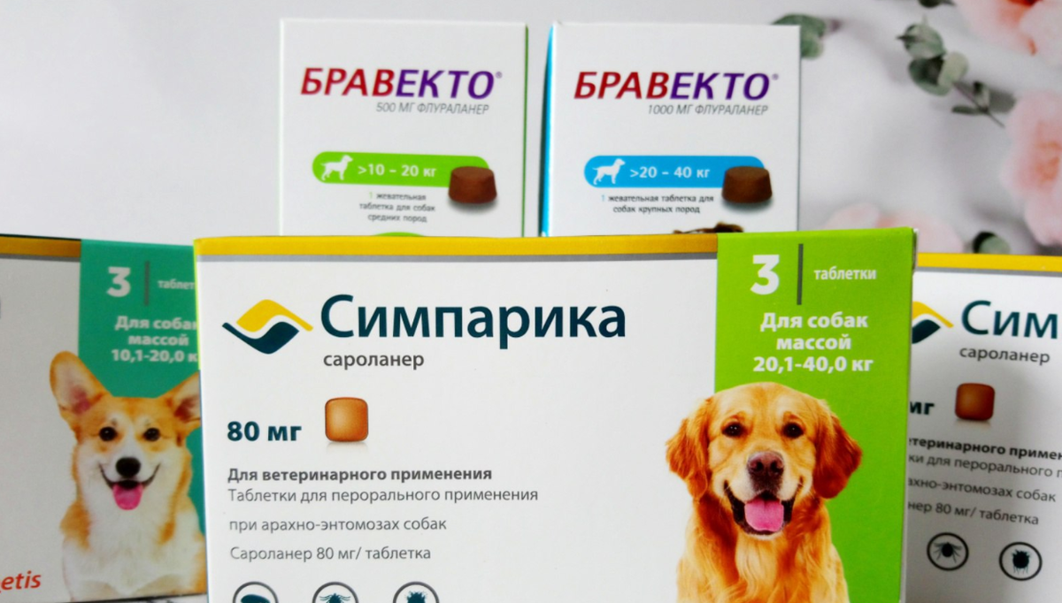 Клещевой сезон только начался, а наших питомцев не защитить. "Бравекто" и "Симпарика" не достать!