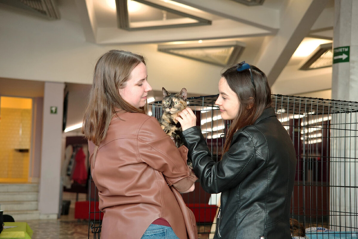 Виктория на выставке-пристройстве