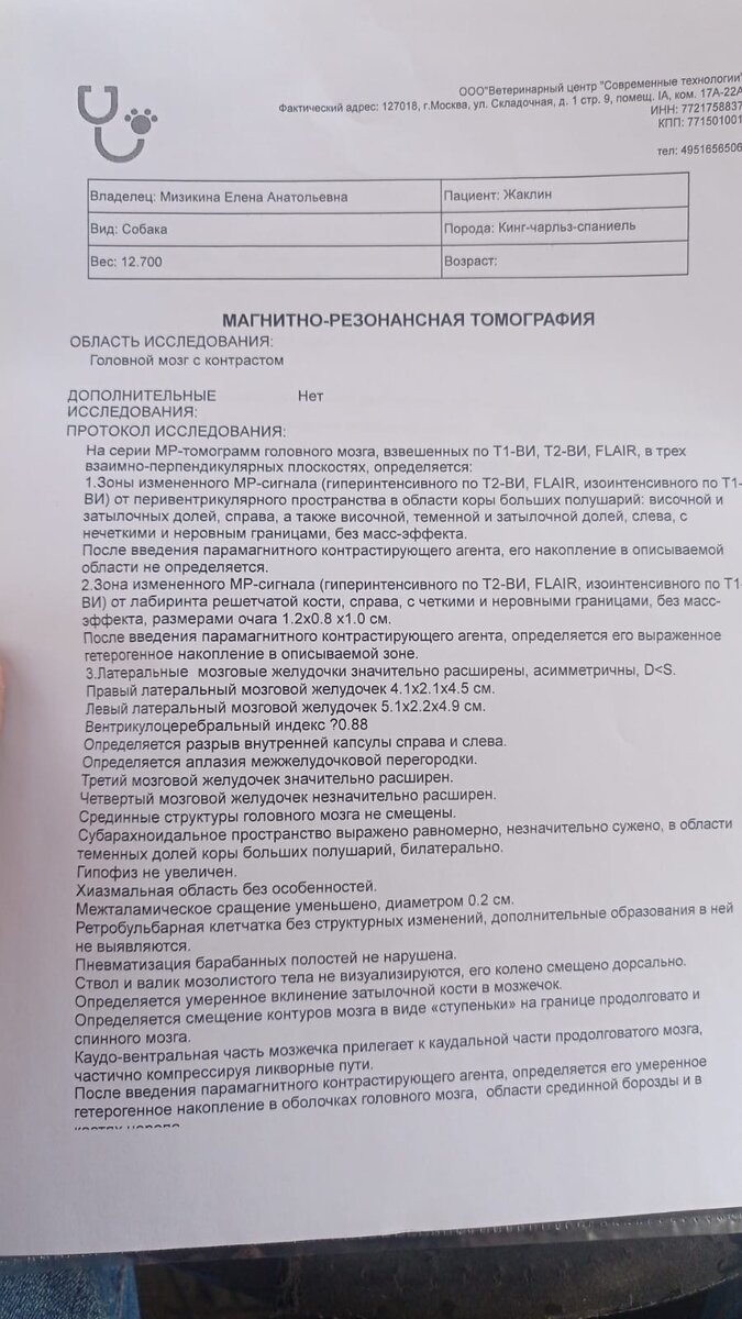 Результаты МРТ Жаклин, страница 1