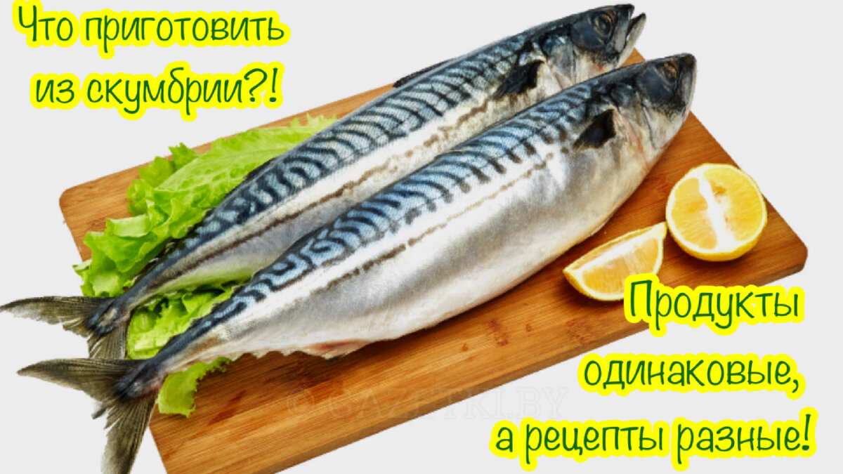 Что приготовить из скумбрии⁉️ Продукты одни и те же, а блюда разные 👍 |  Людмила Плеханова Готовим вместе. Еда | Дзен