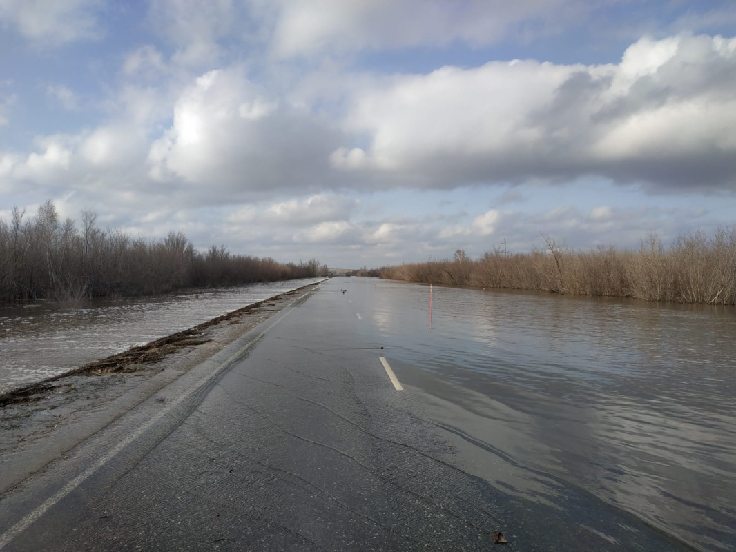 Автомобильная трасса между селами Беляевка и Алабайтал. Фото: Дмитрий Грудинин / Оренбургское региональное отделение РГО
