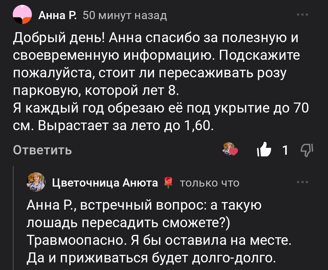 Вопросы - ответы про розы. 06.05.2024 г. Часть 190 | Цветочница Анюта 🌹 |  Дзен