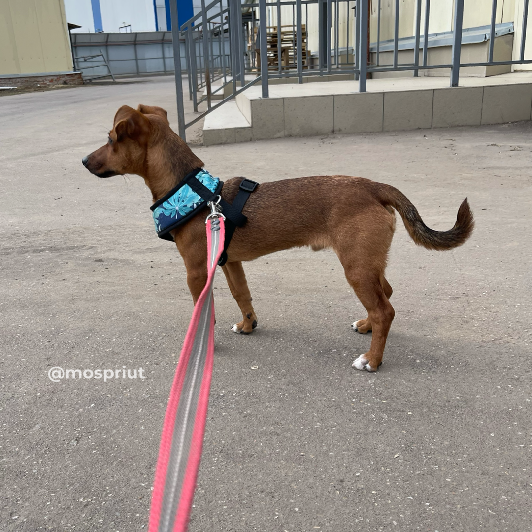 Совсем неглубокий. Совсем неглубокий