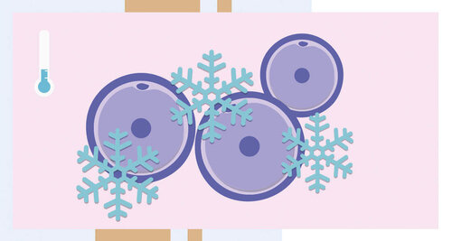 
ЭКО с донорскими замороженными ооцитами