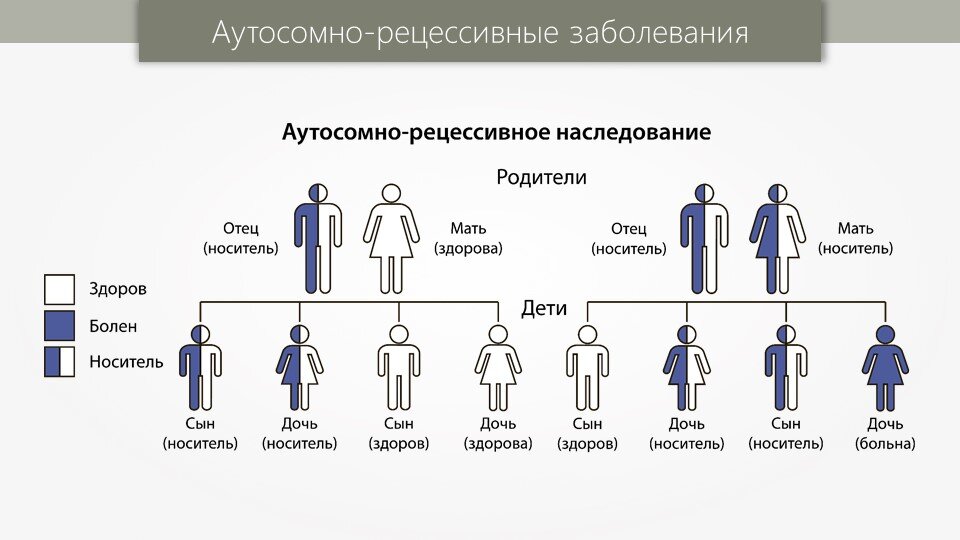 Аутосомно-рецессивный Тип наследования схема. Схема наследования генетических заболевания. Болезни аутосомно рецессивного наследования. Схема наследования аутосомно рецессивной мутации.