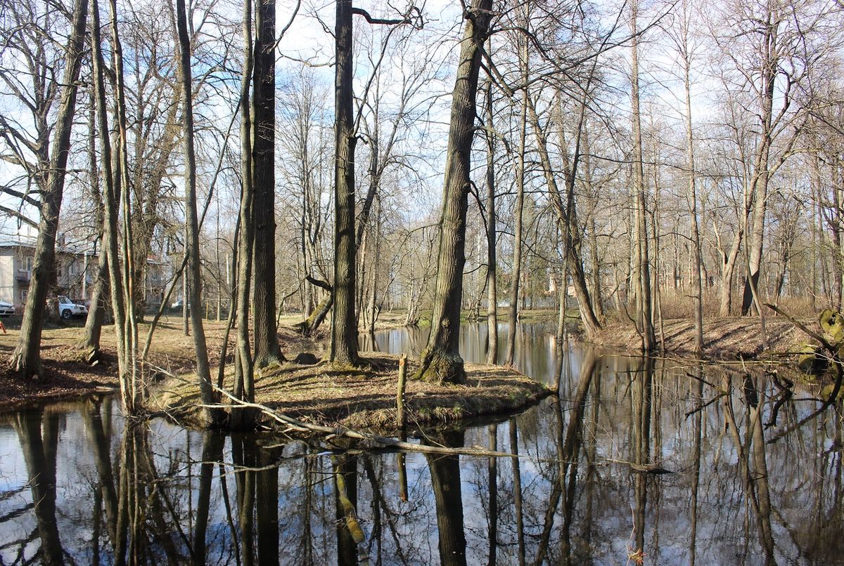  Остатки усадьбы Зубовых «Отрада» (фото О. Еверзов)