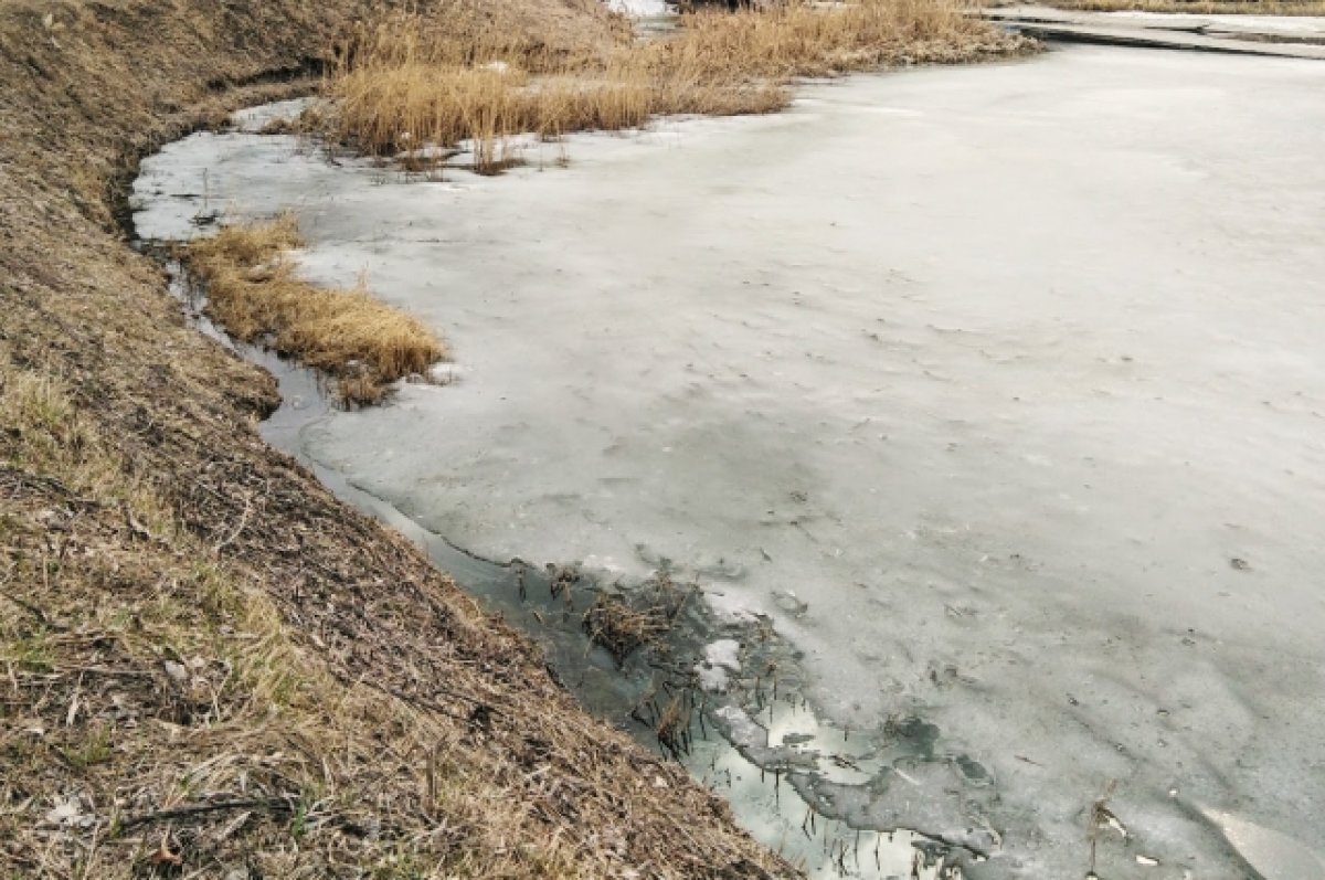    В Тюменской области уровень воды в реке Тобол уменьшился от 5 до 22 см