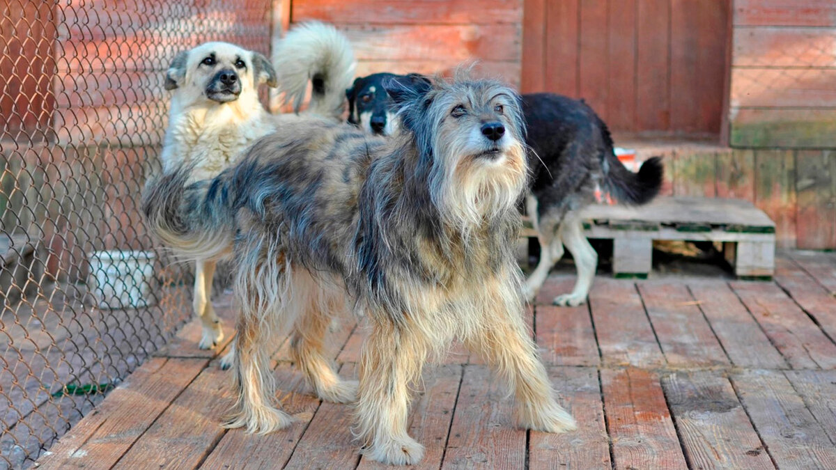 «Островок надежды» / Все фотографии в тексте - автора