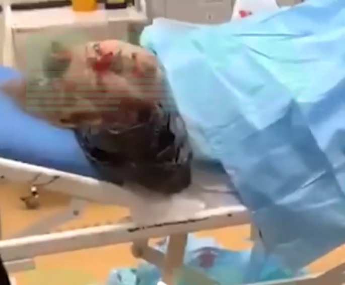    скриншот Baza