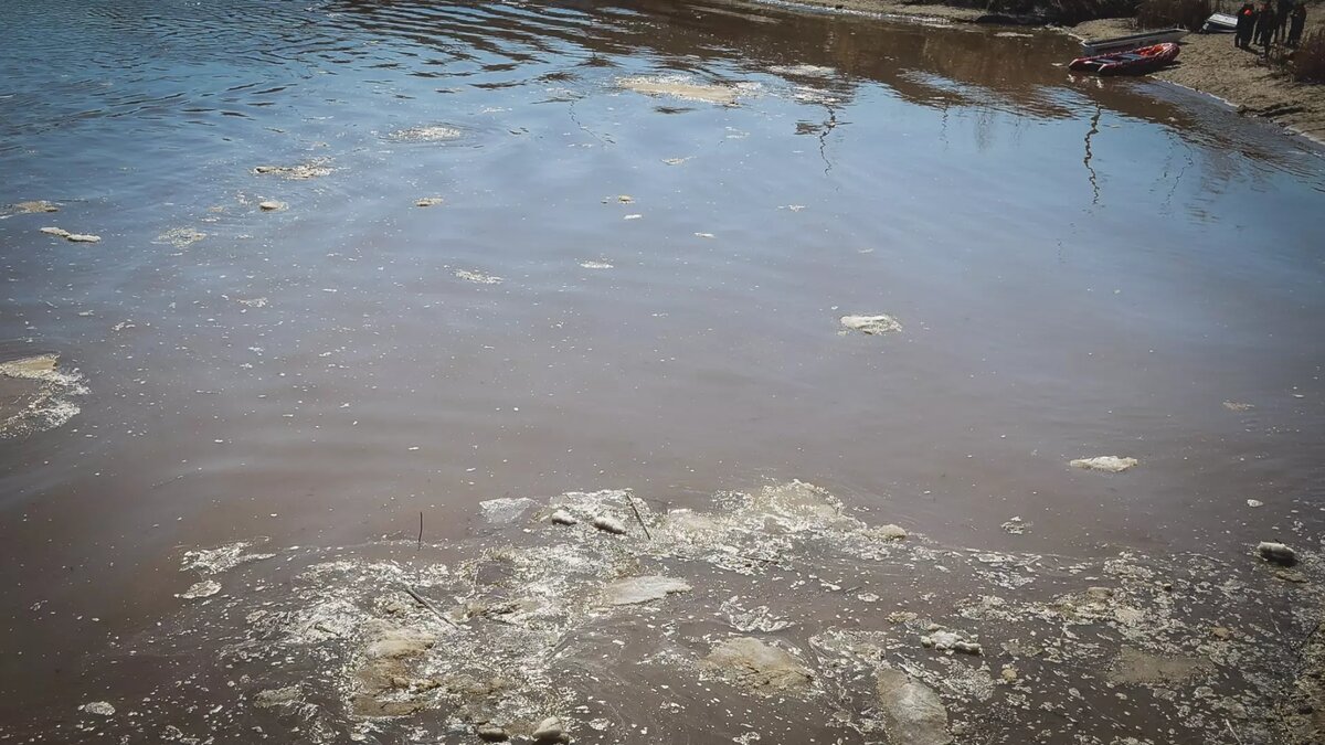 Дамбу на ГОКе в Челябинской области размыло водой | Курс Дела | Дзен