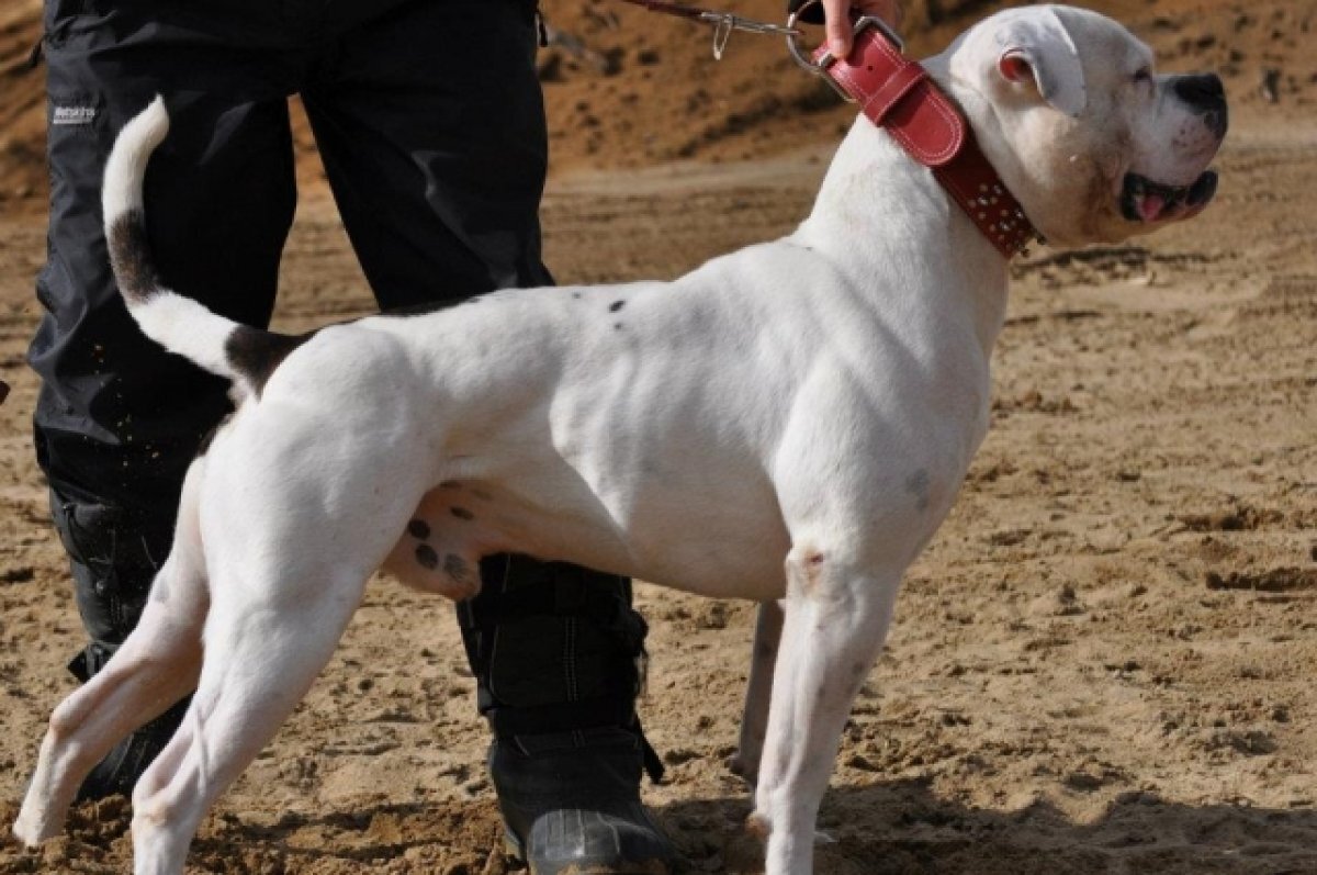    «Снимайте видео».