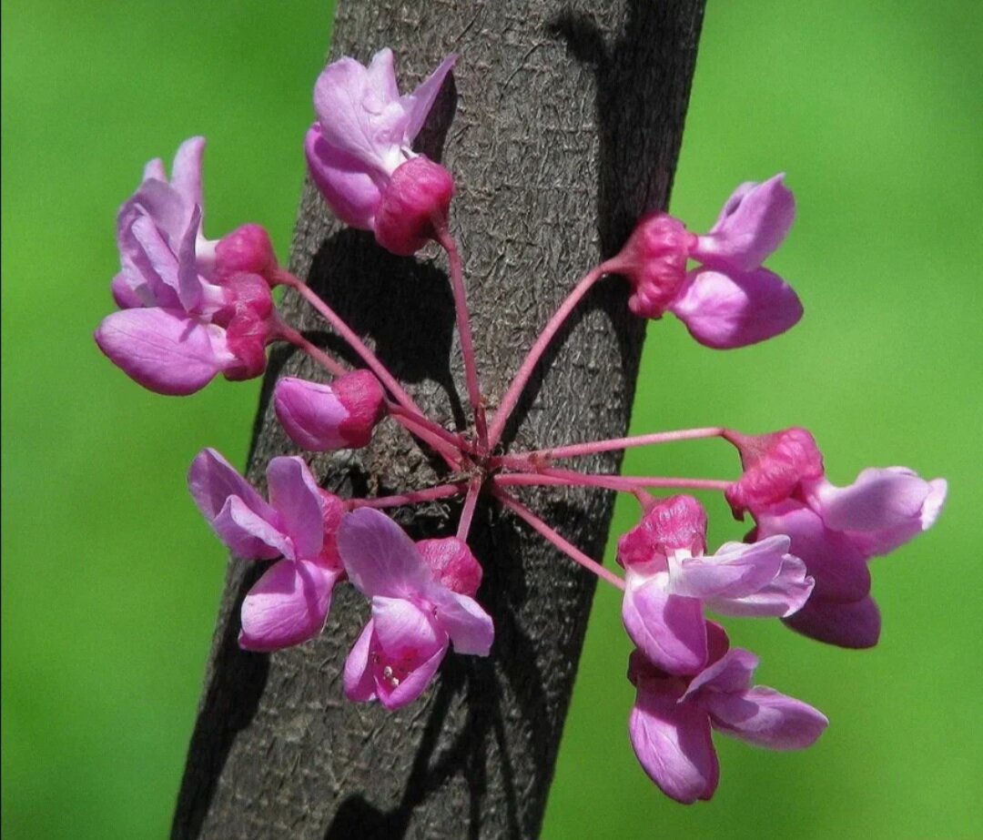 Фото из свободных источников.