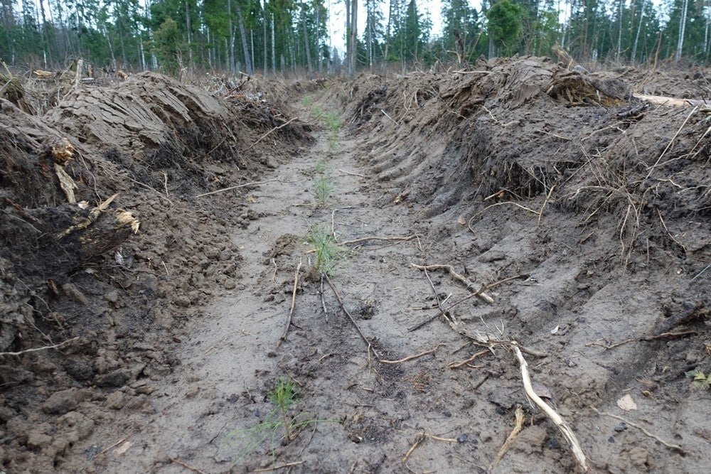 Фото: © Алексей Ярошенко