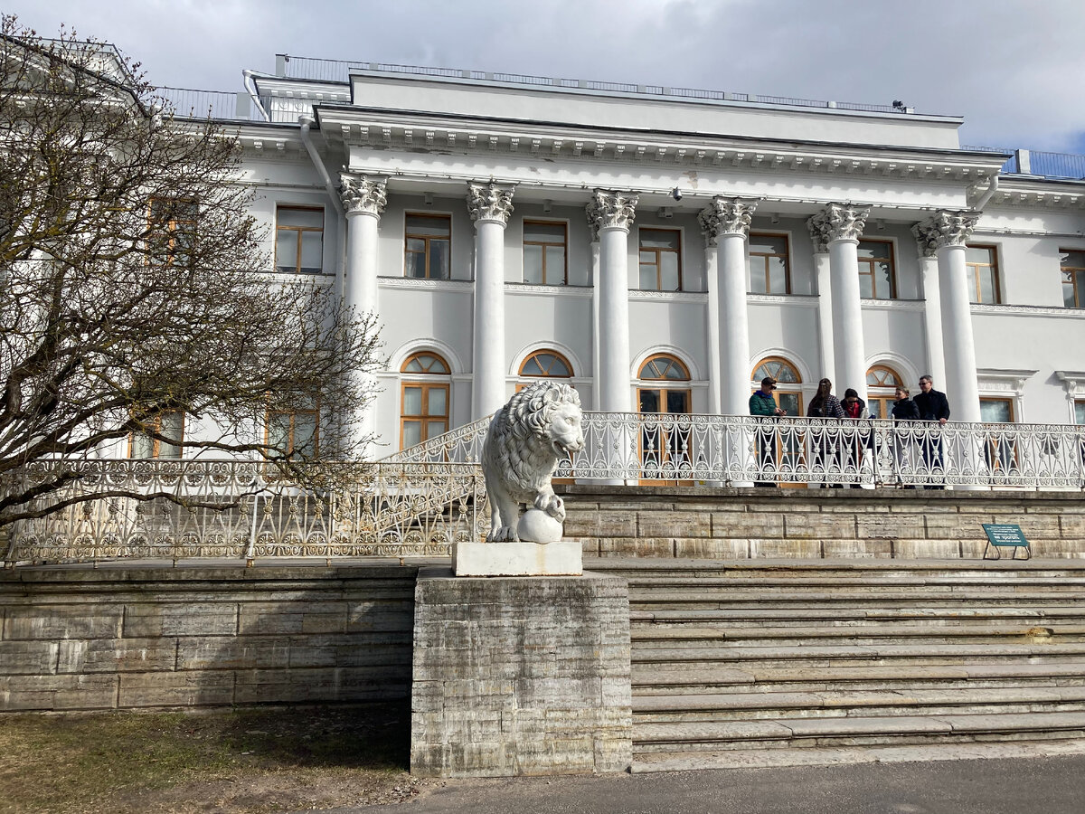 Здесь и далее фото автора