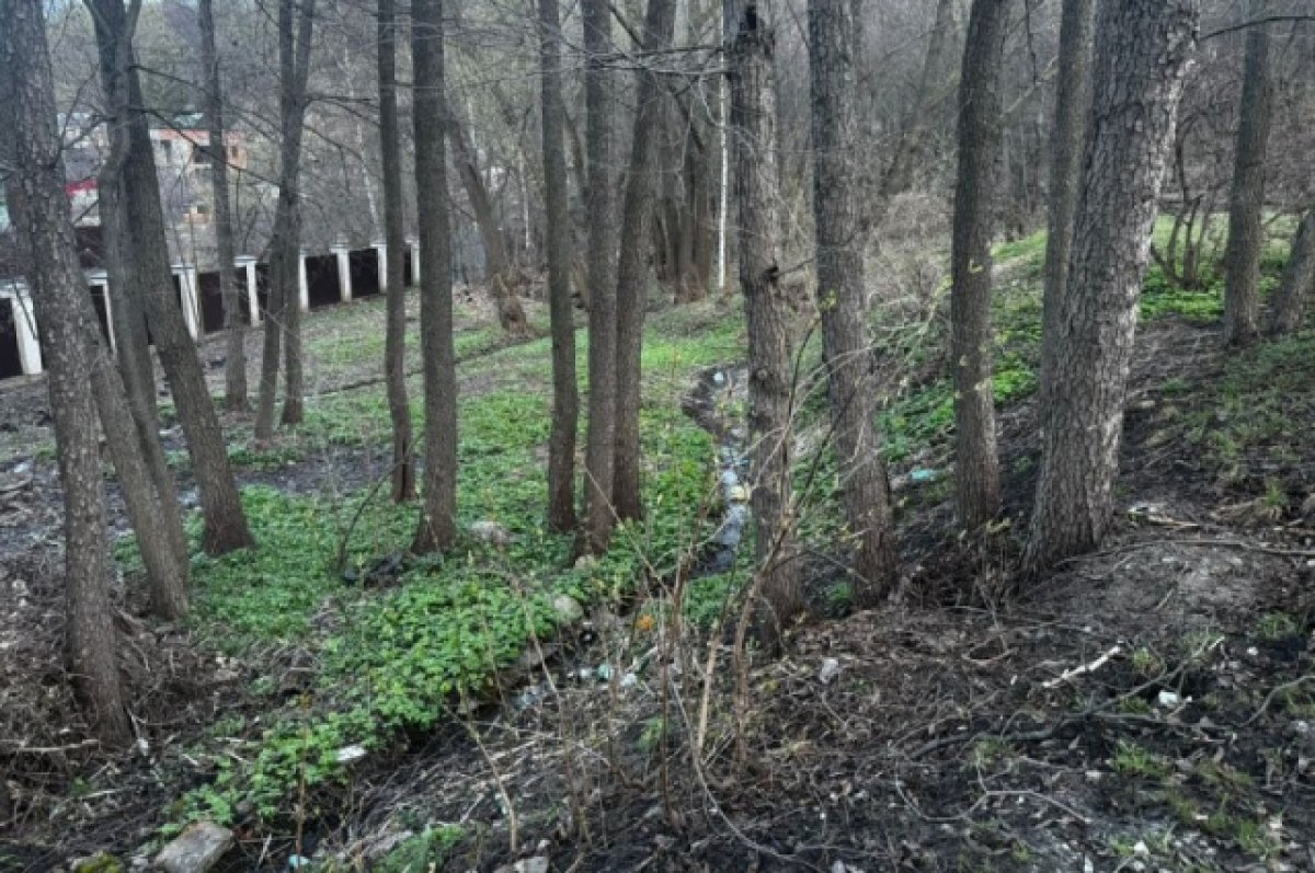   Женщина, чье тело нашли в овраге Пензы, числилась без вести пропавшей