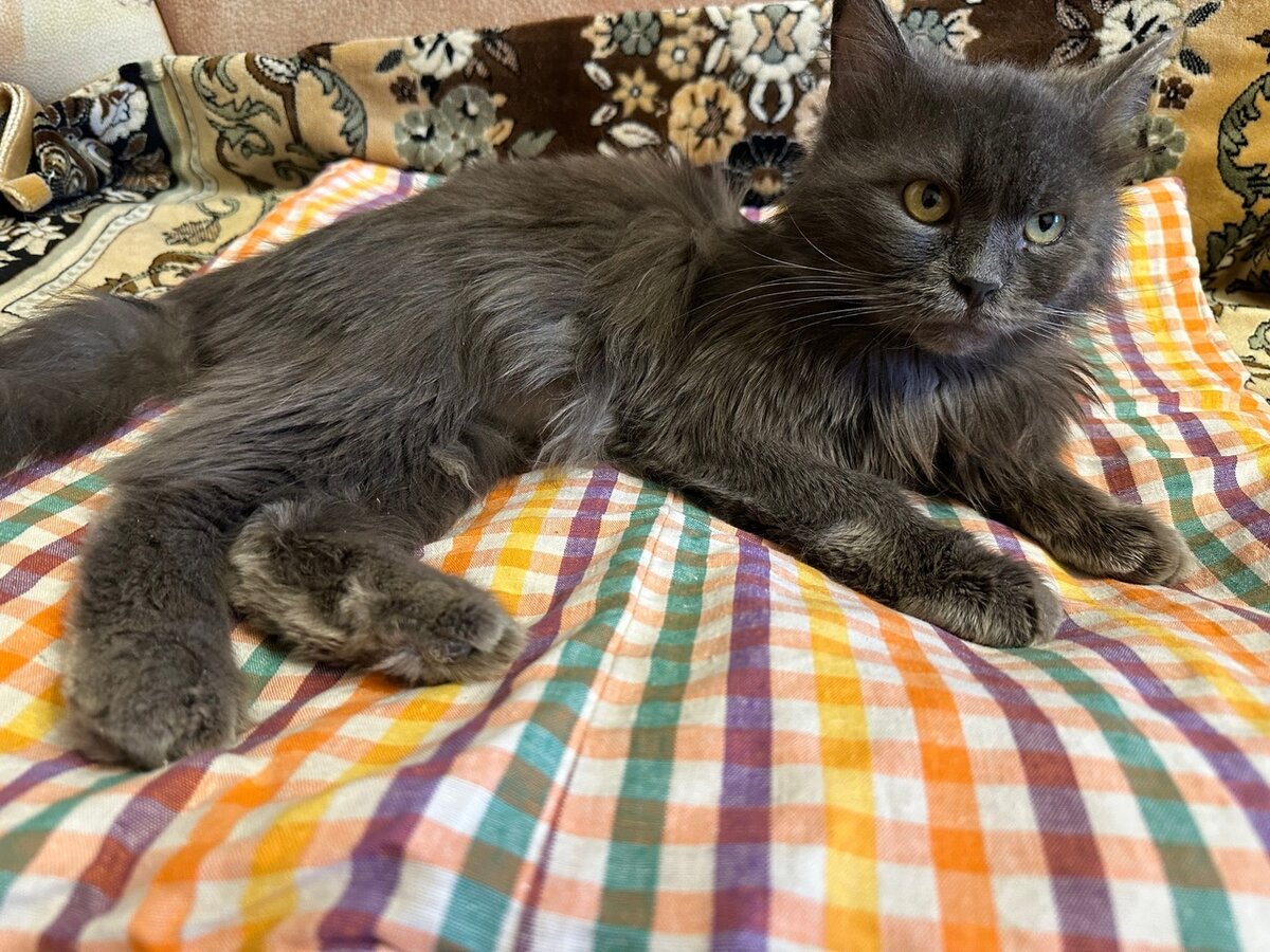 Дымой счастлив, что оказался в тепле