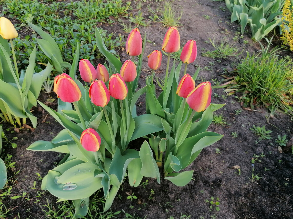 Сор неизвестен