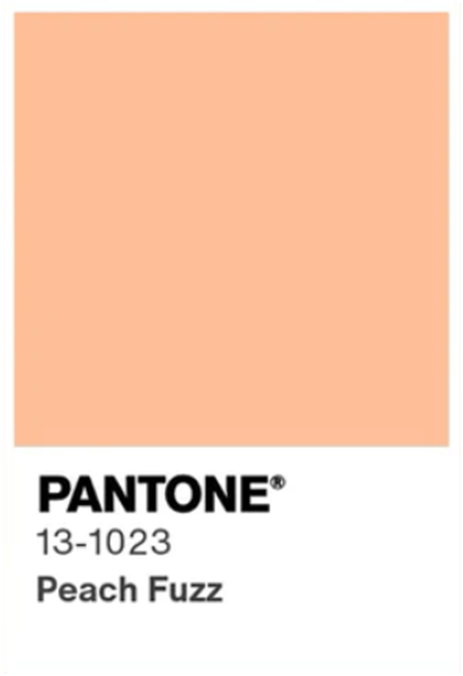    Фото: pantone.com