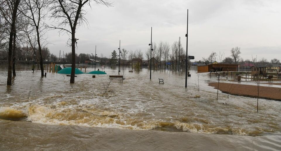    Sergey Nikiforov/news.ru / Global Look Press