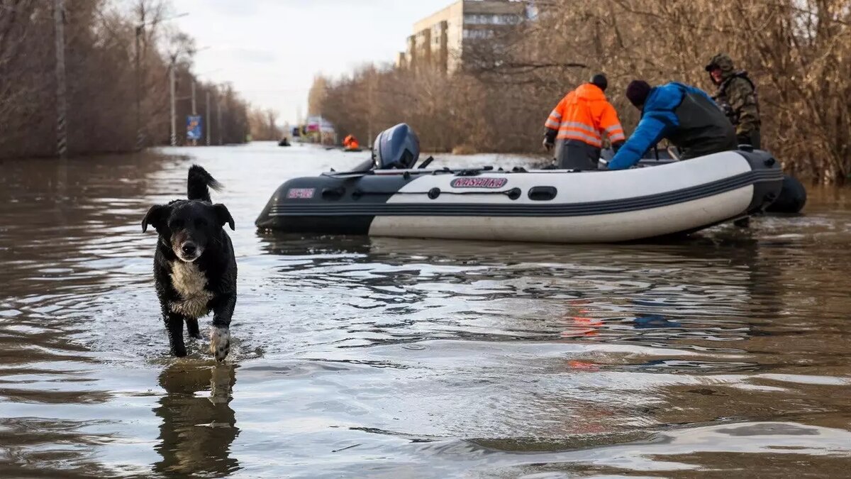 Жители Орска утверждают: вся вода отравлена, либо ее нет вообще. Фото: Егор Алеев / ТАСС
