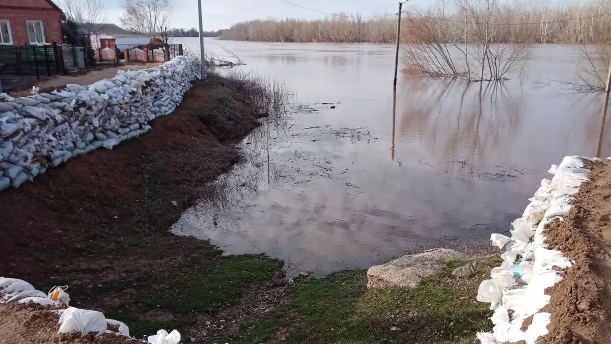 Вода уже на пороге: волна Урала из Оренбурга подходит к селам в Илекском  районе | 56orb.ru | Дзен