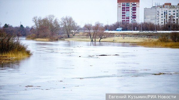     Фото: Евгений Кузьмин/РИА Новости   
 Текст: Дарья Григоренко