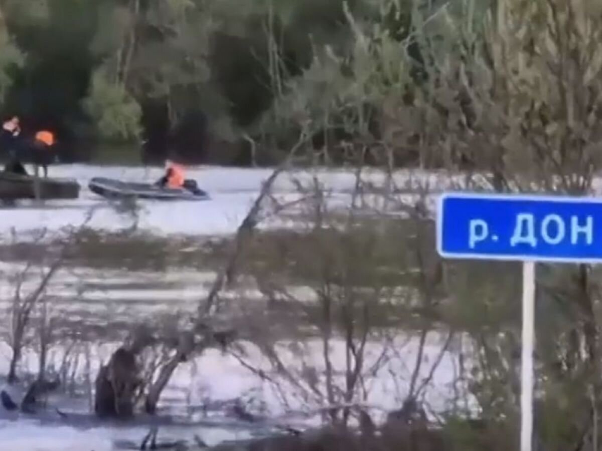 В Воронежской области автомобиль упал с моста в реку | «Воронежские  новости» | Дзен