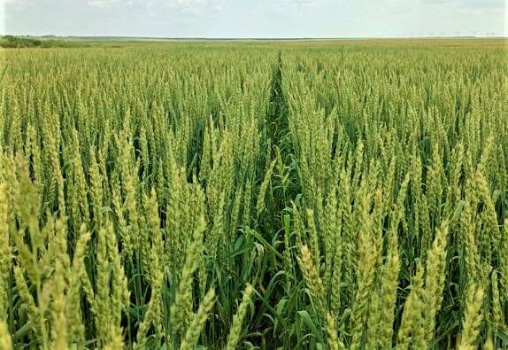 Фото Э.Двуреченского