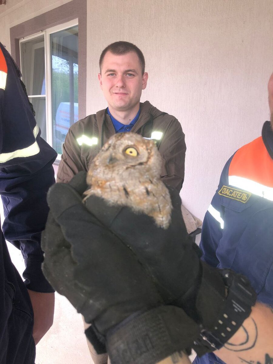 Фото с канала А. Одерова, руководителя "Службы спасения" Новороссийска