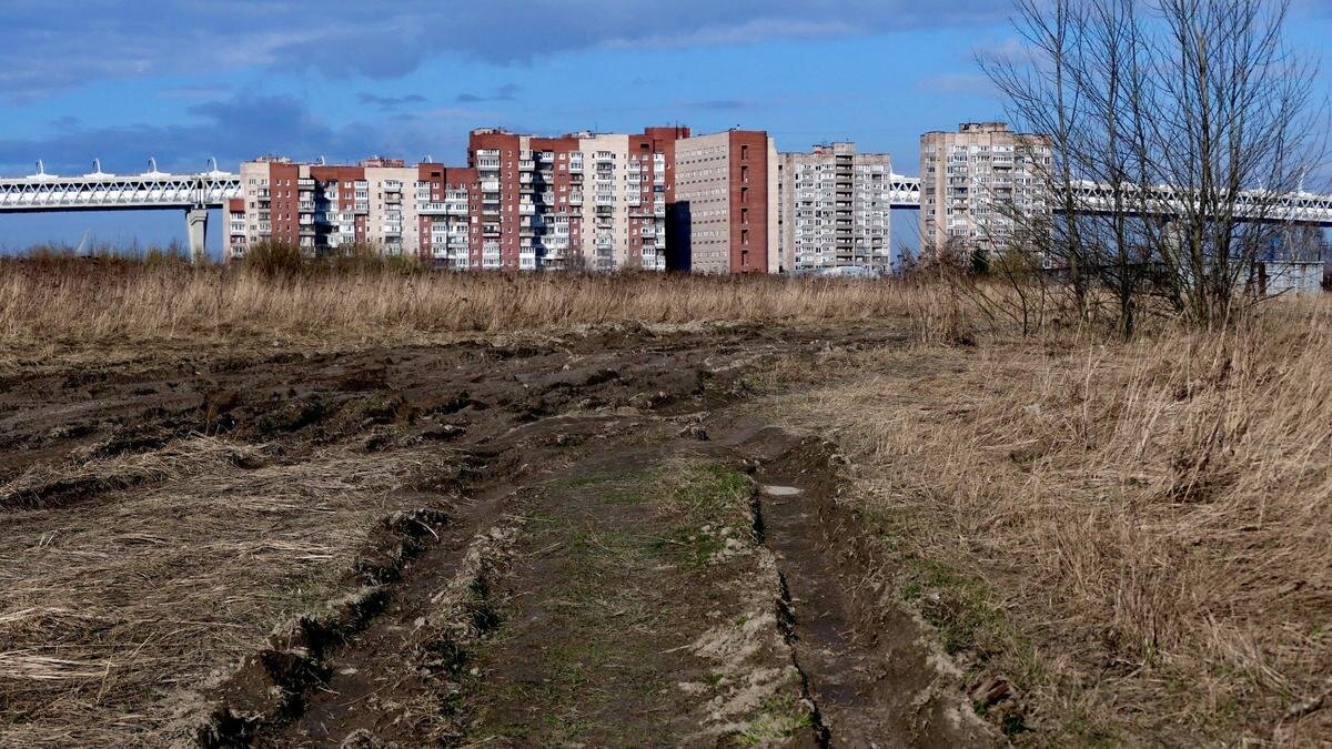    Фото: Павел Даиси / MR7