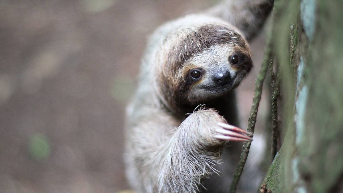    Фото: Shutterstock