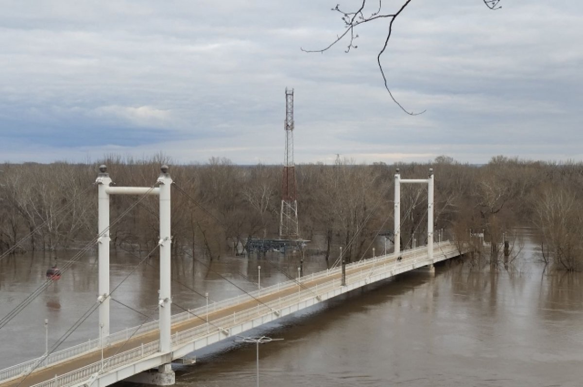    Надругались над природой!