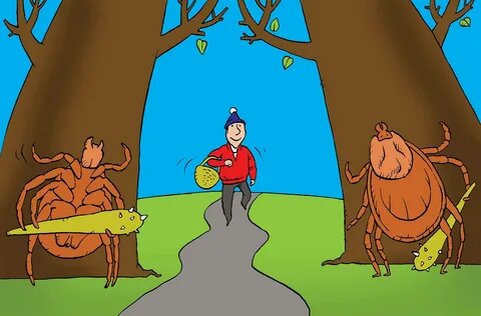 Из открытых источников