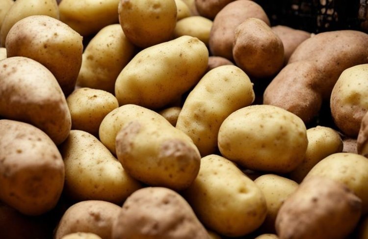    В Орловской области продолжается реализация 3 агропроектов-миллиардников