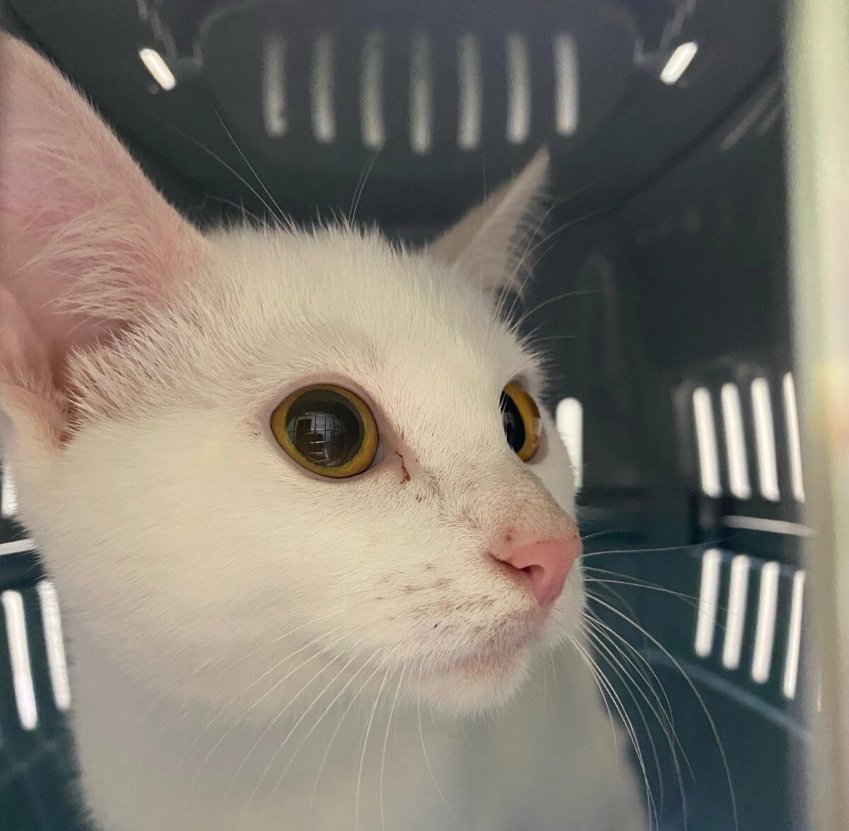 Космонавтика