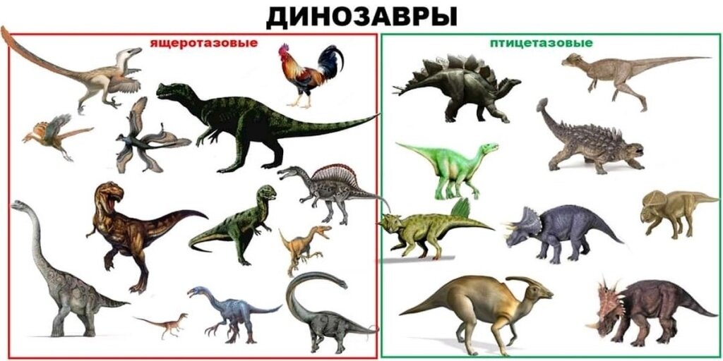 Разнообразие динозавров. Обратим внимание на присутствие петушка, олицетворяющего собой наших современников – «птичьих динозавров», и отсутствие морских ящеров и птерозавров, которых не относят к динозаврам Источник изображения: https://dinoinfo.ru/jashherotazovye-dinozavry/